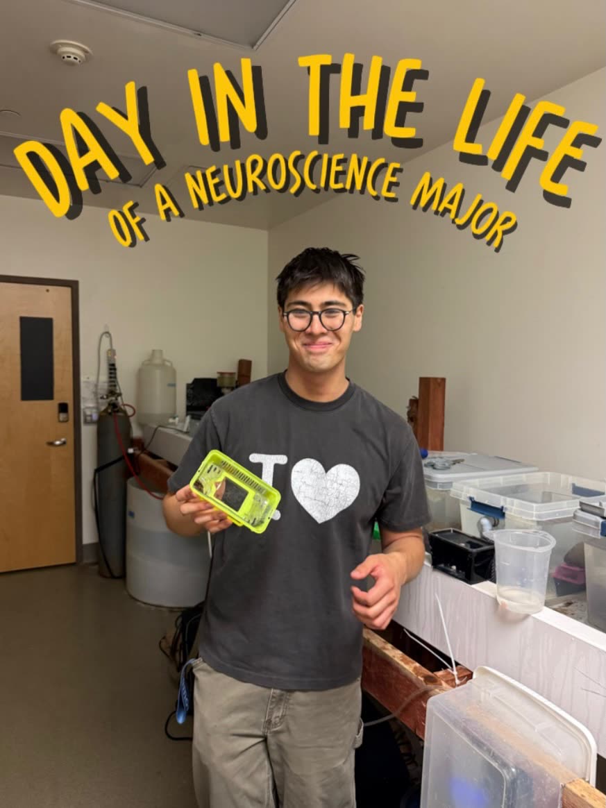 A neuroscience student holding lab equipment, titled Day in the Life.